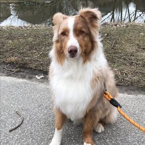 Meet your Posher, Jodie